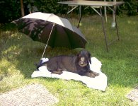 im Garten